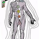 Illustration for article titled E-Wave Chip Protects Against Scary, If Not Scientifically Proven, Threat of Cellphone Radiation